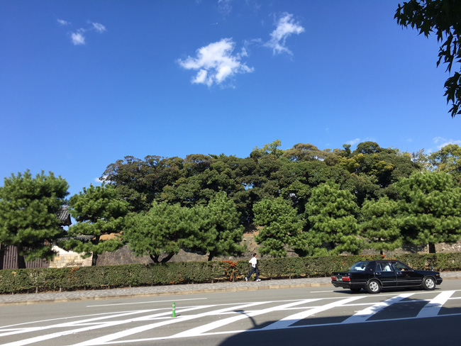 2015-1022-9